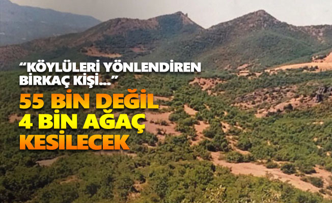 Tunceli Belediyesi: 55 bin değil 4 bin ağaç kesilecek