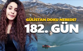 Gülistan Doku'yu arama çalışmaları 182. gününde