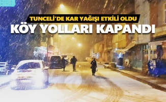 Tunceli'de 50'den fazla köy koyu ulaşıma kapandı