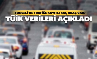 Tunceli'de trafiğe kayıtlı kaç araç var?