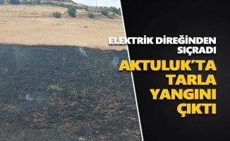 Aktuluk'ta tarla yangını