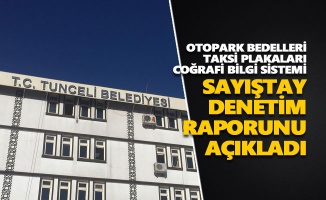 Sayıştay, Tunceli Belediyesi'nin denetim raporunu açıkladı