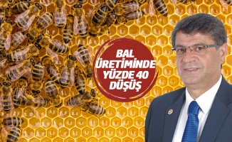 CHP’li Şaroğlu’ndan arı üreticilerinin borçlarının ertelenmesi için kanun teklifi