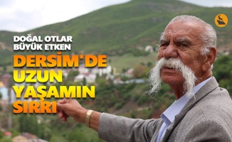 Türkiye'de yaşam süresi en uzun il Tunceli oldu