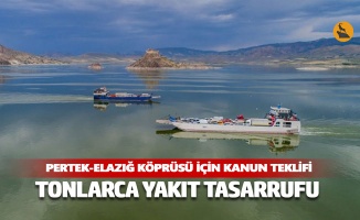 HDP'den Pertek-Elazığ Köprüsü için kanun teklifi